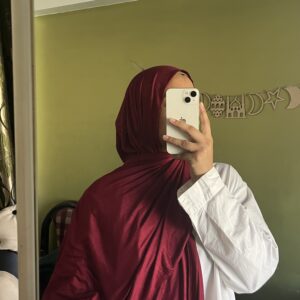 Premium Bamboo jersey